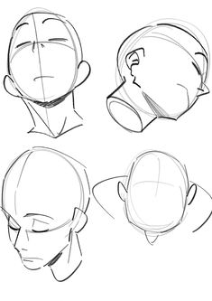 four different angles of the head