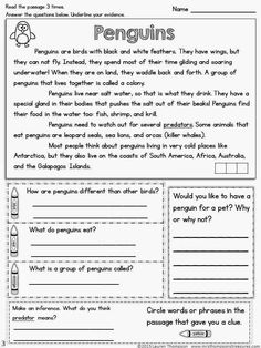 the worksheet for reading and writing about penguins with pictures on it, including an image