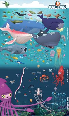 an ocean scene with many different types of animals