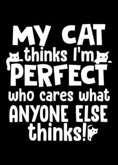 a black and white poster with the words, my cat thinks i'm perfect who cares what anyone else thinks