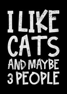 the words i like cats and maybe 3 people written in white on a black background
