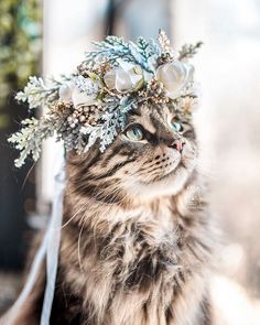a cat with a flower crown on its head