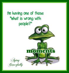 a green frog with the words moments on it's chest and eyes, in front of