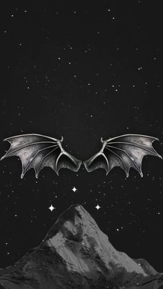 two bats flying over a mountain in the night with stars on it's wings