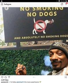 Snoop Dogg Funny, Taustakuva Iphone Disney, Image Swag, Snoop Dog, Rap Aesthetic, Tapeta Pro Iphone, Funny Profile, Puff And Pass