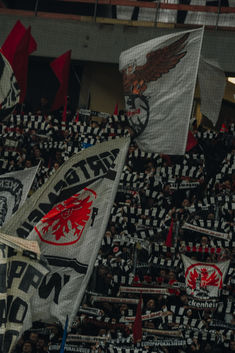 many fans are holding flags and banners in the stands