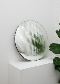 a round mirror sitting on top of a white shelf next to a green leafy plant
