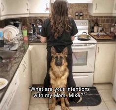 a woman sitting on the kitchen counter with her german shepherd dog, who is wearing a black t - shirt that says what are your intentionss with my mom mike?