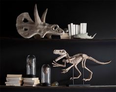 two shelves with books and fake dinosaurs on them