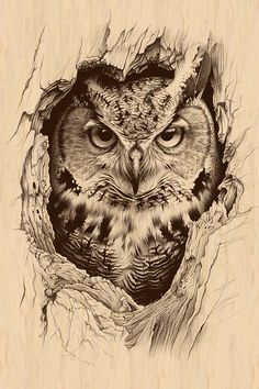 an owl is seen through the hole in this wood engraving art print by artist mark taylor