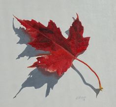 a single red leaf on a white surface