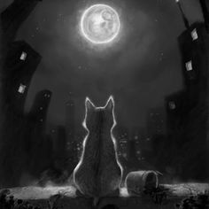 a cat looking up at the moon with words above it that say dolce note