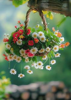 a bunch of flowers that are hanging from a tree