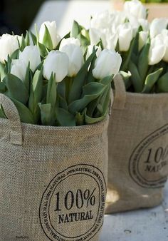 white tulips are in burlock bags on a table