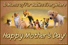 happy mother's day card with dogs, cats and kittens in the background