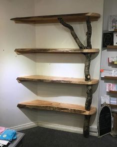 the shelves are made out of wood and have tree branches on each shelf, along with bookshelves