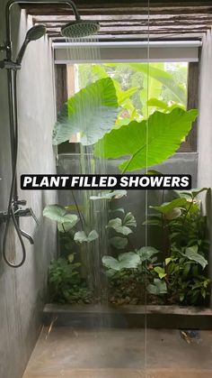 a shower head with water running from it in a bathroom next to plants and greenery