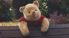 a brown teddy bear wearing a red shirt sitting on a wooden bench with trees in the background