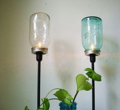 two glass jars with plants in them are sitting on the wall next to each other