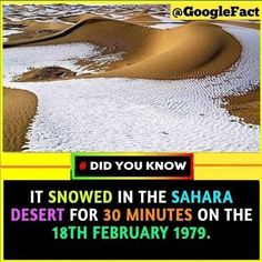 an advertisement for the sahara desert in front of a yellow and black sign that reads did you know it snowed in the sahara desert for 30 minutes on the 18th feb