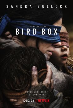 the bird box dvd cover is shown