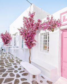 a white bench sitting in front of a pink door and window next to a tree