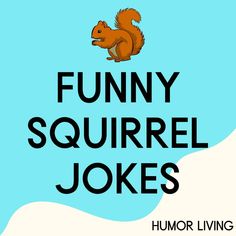 the words funny squirrel jokes are in front of a blue background with an image of a squirrel