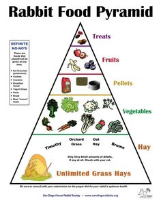 the food pyramid is labeled in several different languages