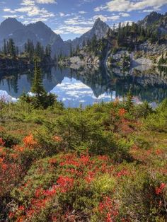 a mountain lake surrounded by trees and flowers