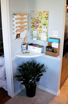 a room with a plant in the corner next to a desk and shelves on the wall