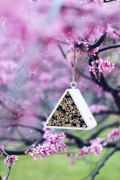 a bird feeder hanging from a tree branch with pink flowers in the foreground and text that reads, mason bee house