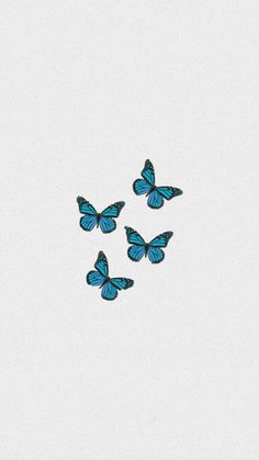 three blue butterflies flying in the sky with no one on it's back side