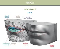 an image of a mouth with the words mouth area