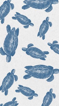 an image of sea turtles in blue ink on white paper with watermarked background