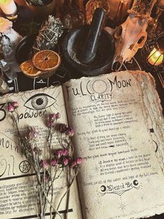 Witchcore Aesthetic, Medieval Witch, Witch Core, Citation Art, Autumn Witch, Witch Room, Witch Books, Magic Aesthetic, Witch Decor