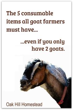 a horse with the words, the 5 consumeable items all goat farmers must have even if you only have 2 goats