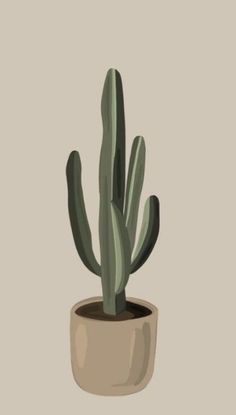 Art, Cactus, Wallpapers