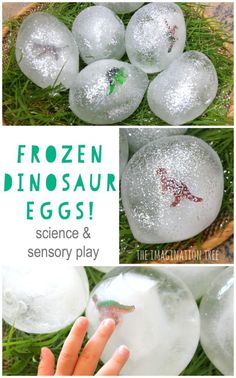 frozen dinosaur eggs science and sensory play for kids