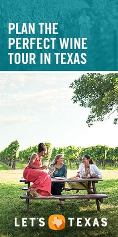 a group of people sitting at a picnic table with the words, plan the perfect wine tour in texas