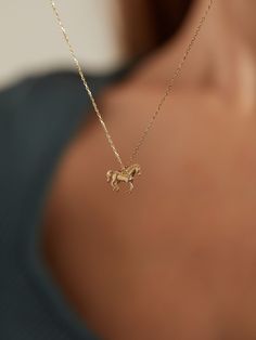 14k Real Solid Gold Minimalist Horse Necklace, Dainty Animal Jewelry, Minimalist Horse Memorial for Necklace Women, Gift for Women ---- You can buy this horse Without Chain--- The horse is an animal that carries symbols of power, speed, freedom, grace and courage. Gold also represents symbols of wealth, permanence, continuity and value. A gold horse necklace can have many different emotions and meanings by combining the powerful and graceful movements of the horse with the color gold. For exampl Horse Memorial, Gold Horse, Horse Necklace, Horse Jewelry, Jewelry Minimalist, Jewelry Accessories Ideas, Horses Pendant, Horse Gifts