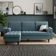 a blue couch sitting in front of a wall with pictures on it