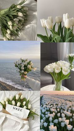 white tulips and other flowers are arranged in four different pictures with the ocean in the background