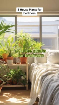 three house plants for bedroom with text overlay