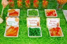 there are many different types of gummy bears in small bowls on the grass,