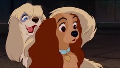 Disney Movie Scenes, Lady And The Tramp, Disney Movie, Disney Ladies, Disney Films, Girl And Dog, Animation Film, Pet Store, Movie Scenes