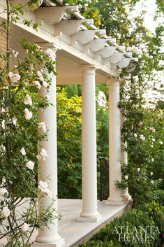 white roses are growing on the side of a building with columns and pillars in front of it