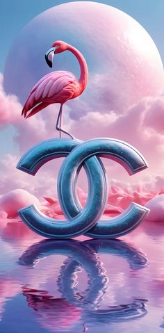 a pink flamingo standing on top of the number six