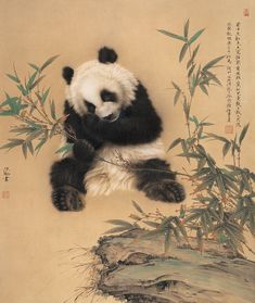a panda bear sitting on top of a tree branch next to bamboo leaves and branches
