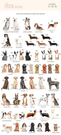 an image of dogs that are in different colors and sizes, with the names below them