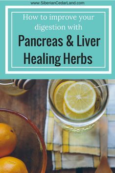 Incorporating Pancreas Healing herbs into your diet is crucial for proper digestion and absorption. Although Tiny and generally unnoticed, your pancreas plays one of the most important roles in the digestive and endocrine process. #pancreasherbs #pancreas #liverherbs #liversupport #herbsforliver #herbsforpancreas #indigestion #digestion #dispepsia #malabsorption #gainweight Pancreatic Diet Recipes, Liver Herbs, Pancreas Health, Detox Herbs, Digestion And Absorption, Heal Liver, Liver Detox Diet, Better Digestion, Energy Foods